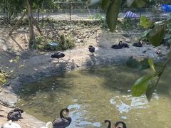 -泉州海丝野生动物世界