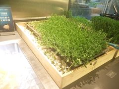 -夫妻肺片·中华老字号·正宗川菜(春熙路店)