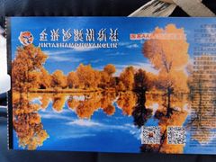 -金塔沙漠胡杨林景区