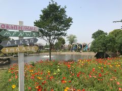 -鹅湖玫瑰文化园