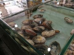 -石塘路海鲜市场(草厂中路店)