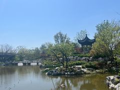 -上海滨江森林公园