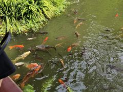 -成都杜甫草堂博物馆