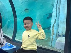 -喷泉广场餐厅·宵夜·海鲜烧烤大排档(长隆企鹅酒店)