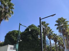 -南宁南湖公园
