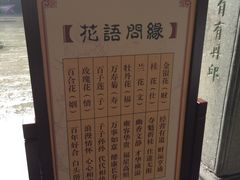 -杭州黄龙洞
