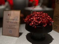 -星·South Beauty·俏江南(国贸店)