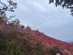 -木兰云雾山