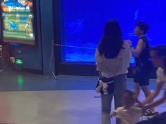 -烟台海昌鲸鲨海洋公园