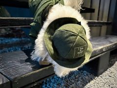 -J Create城市露营咖啡·简餐·宠物(上海动物园店)