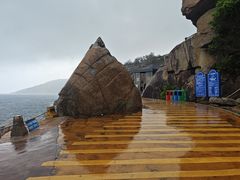 -广东惠东海龟国家级自然保护区