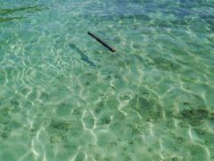 -东姑阿都拉曼海洋公园