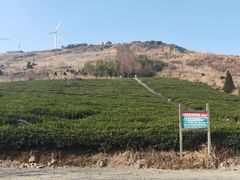-东白山