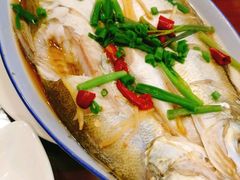 清蒸白水鱼-梦江南