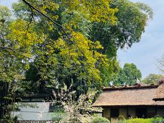 -成都杜甫草堂博物馆