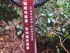 -西双版纳基诺山寨
