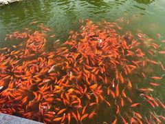 -西海子公园