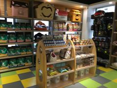 -奈斯宠物医院·核磁CT·异宠专科·内镜(中南店)