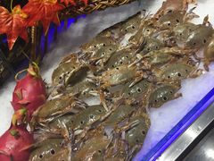 -南美豹国际自助百汇(万象城店)