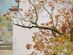 -塔川景区