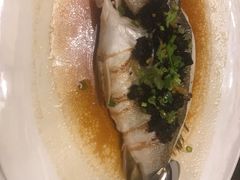 -酌宴府The China Club·广州万富希尔顿酒店(云城东路店)