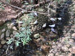 -燕塞湖鸟语林景区