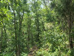 -北京上方山国家森林公园