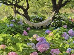 -名花谷生态庄园