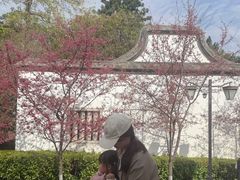 -乌山风景区