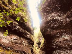 -冠豸山景区