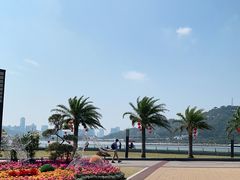 -野狸岛