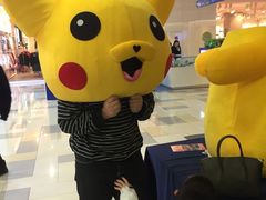 -鹏欣水游城