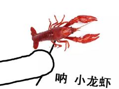 -靓靓蒸虾·头牌蒸虾(南山桂庙店)