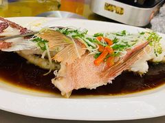 大石斑鱼-仁西海鲜酒楼(振东店)