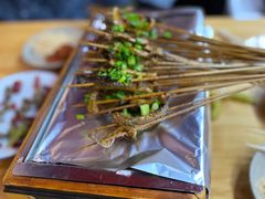 鳝鱼-晓靖轩烧烤(沙河风情店)