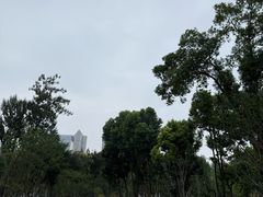 -后襄河公园