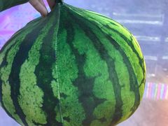 -反斗乐园(金光华广场店)