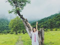 -硗碛藏寨·神木垒景区