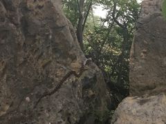 -北京鹫峰国家森林公园