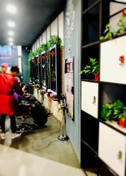 点击看大图 大厅-MAGIC米几发型设计·羊毛卷