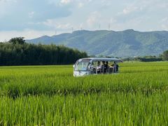 -良渚古城遗址公园