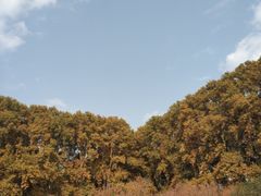 -河南省黄河迎宾馆