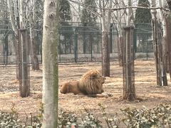 -秦皇岛野生动物园