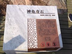 -定都峰