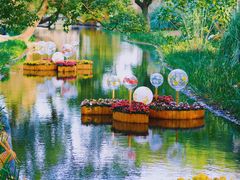 -上海共青森林公园