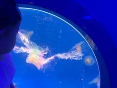 -海合安青岛极地海洋公园