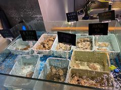 水产区-帽帽家只卖生蚝·烧烤(沙湖路店)