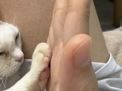 -山宅一喵德文卷毛猫舍