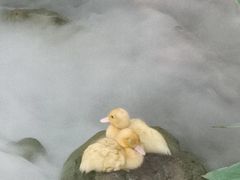 -伴山茶苑·围炉煮茶