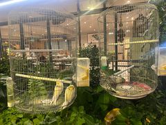 -蘇河湾·新鲁菜·泰山宴(泰山店)